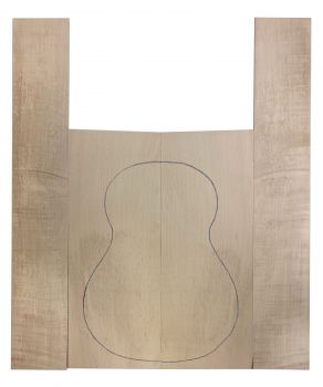 Back & Sides Sycamore / European Maple, Classic B+ - FSC®100%